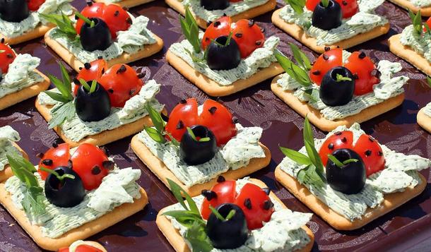 Божья коровка на крекере